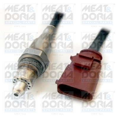 Oxygen Sensor